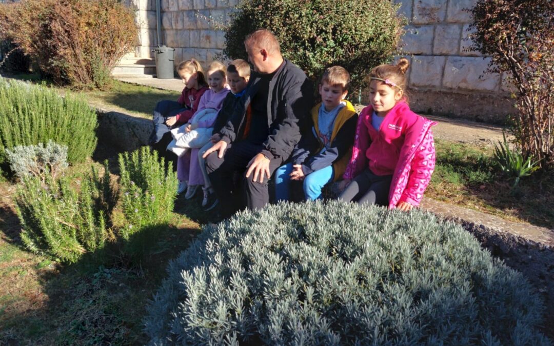 Ljepota božjeg stvaranja oko nas